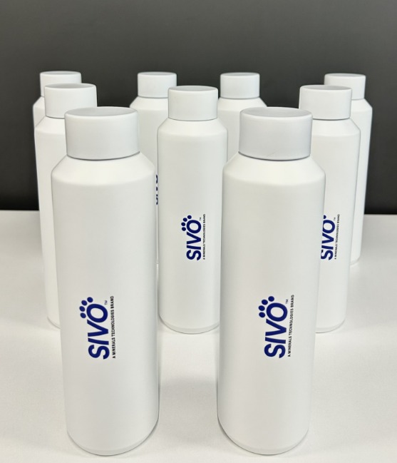 600 ml Paslanmaz Çelik Termos 701